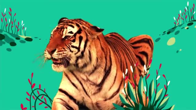 Animal Songs- 'Tiger in the Jungle,' by StoryBots - Netflix Jr_Cut