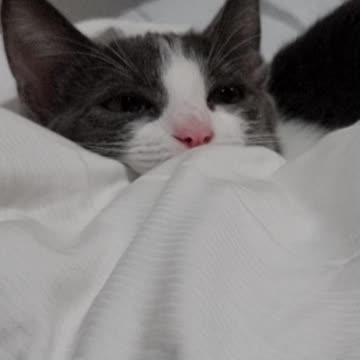 When she first arrived 🥺🥺