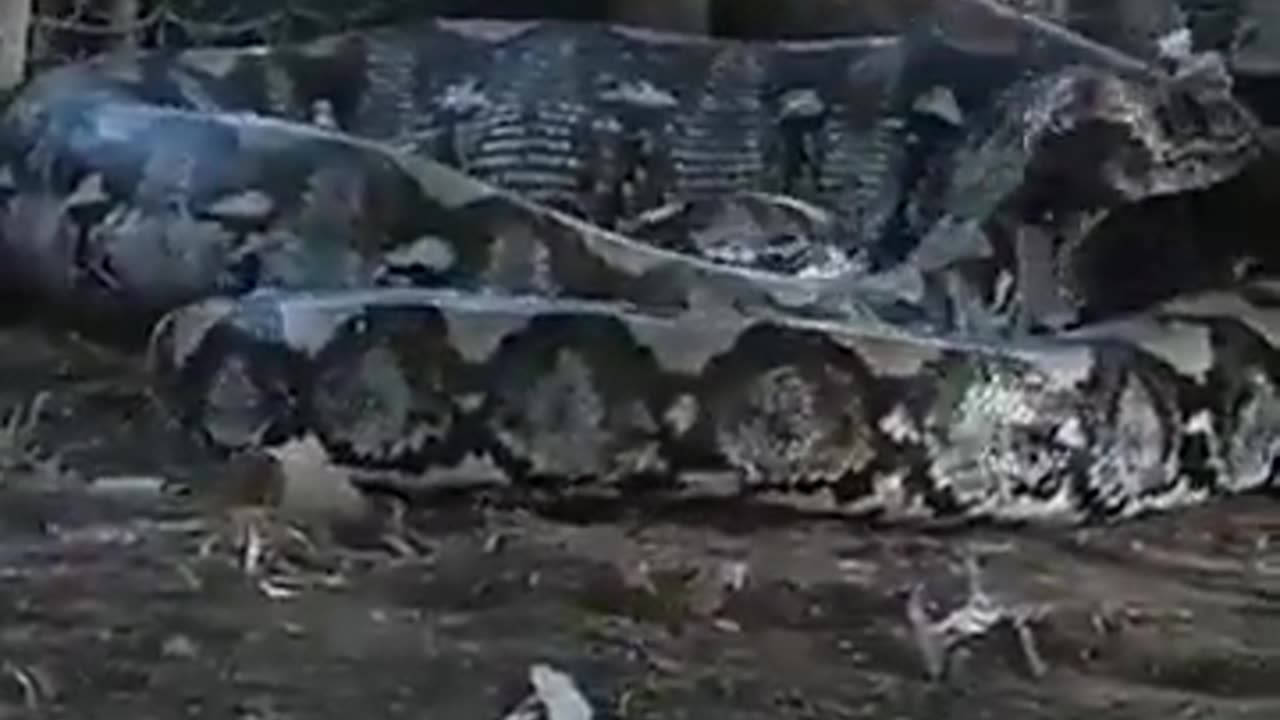 What did this Big snake ate😳