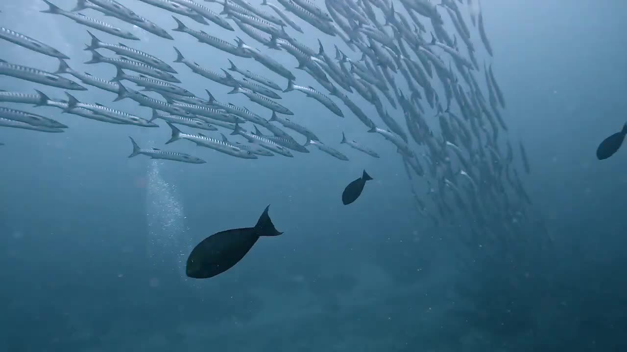 the beauties of a swim in the sea