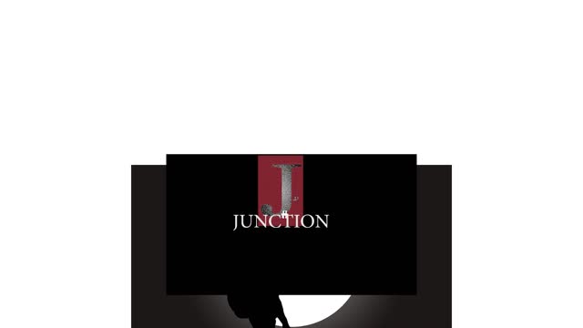 Junction "a book excerpt"