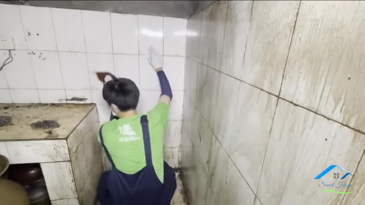 Cleaning the dog and cat shelter