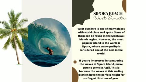 Amazing surfing destination in Indonesia