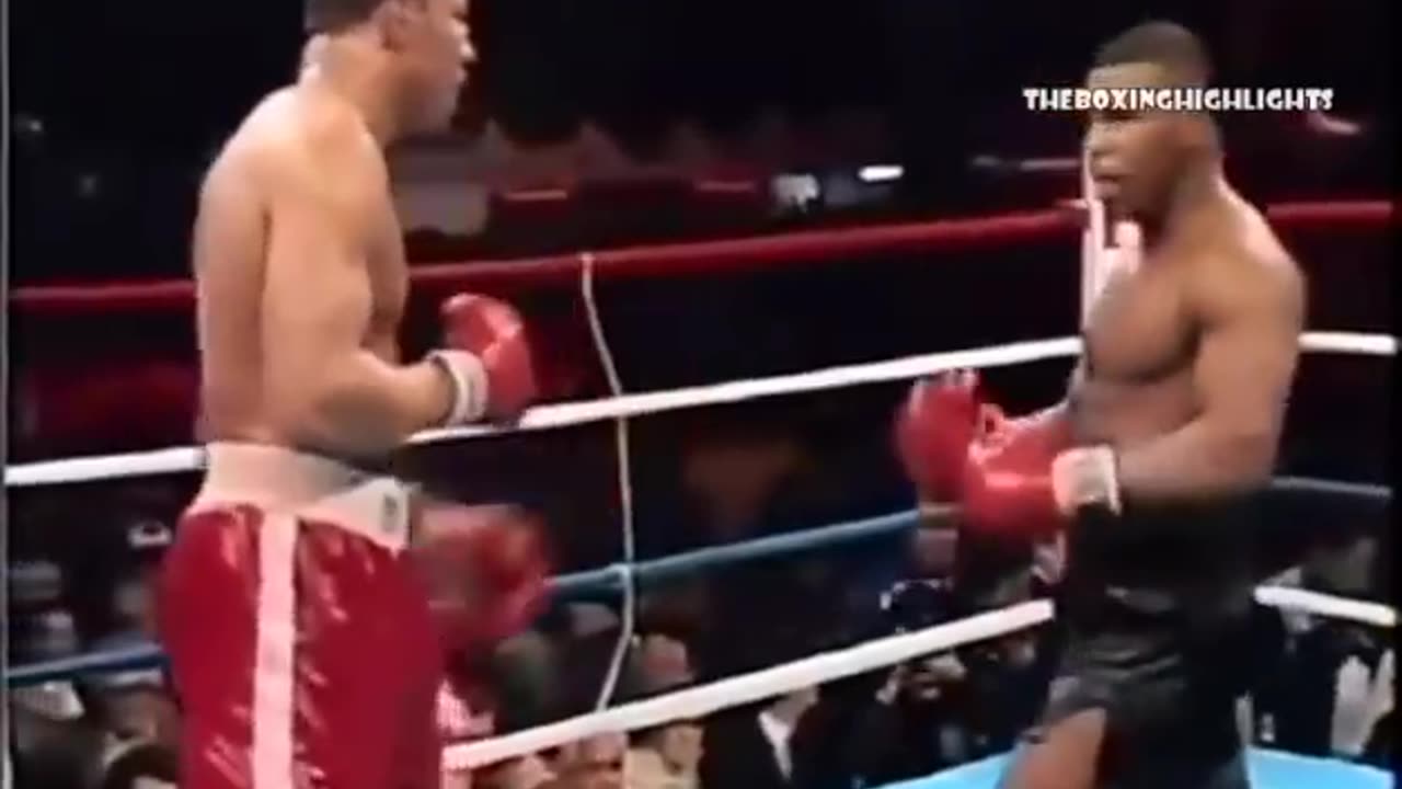 Top ten best knockouts