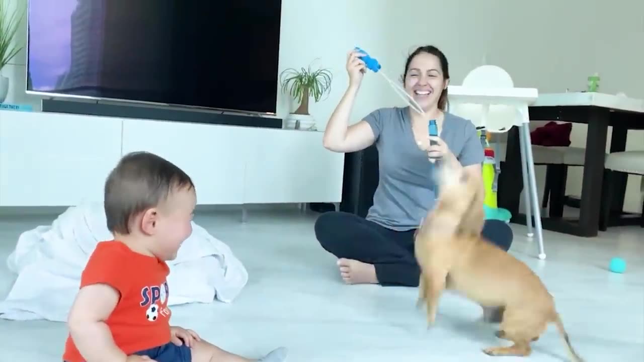 baby vs Dog