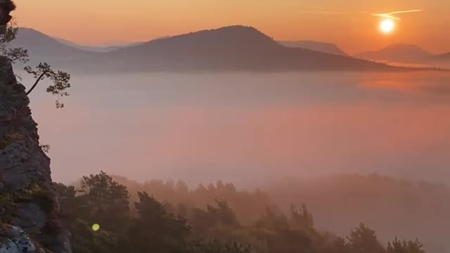 Erinnerungen... lebenfälzerwald verbracht haben. Die dabei