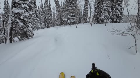 Serching for untracked