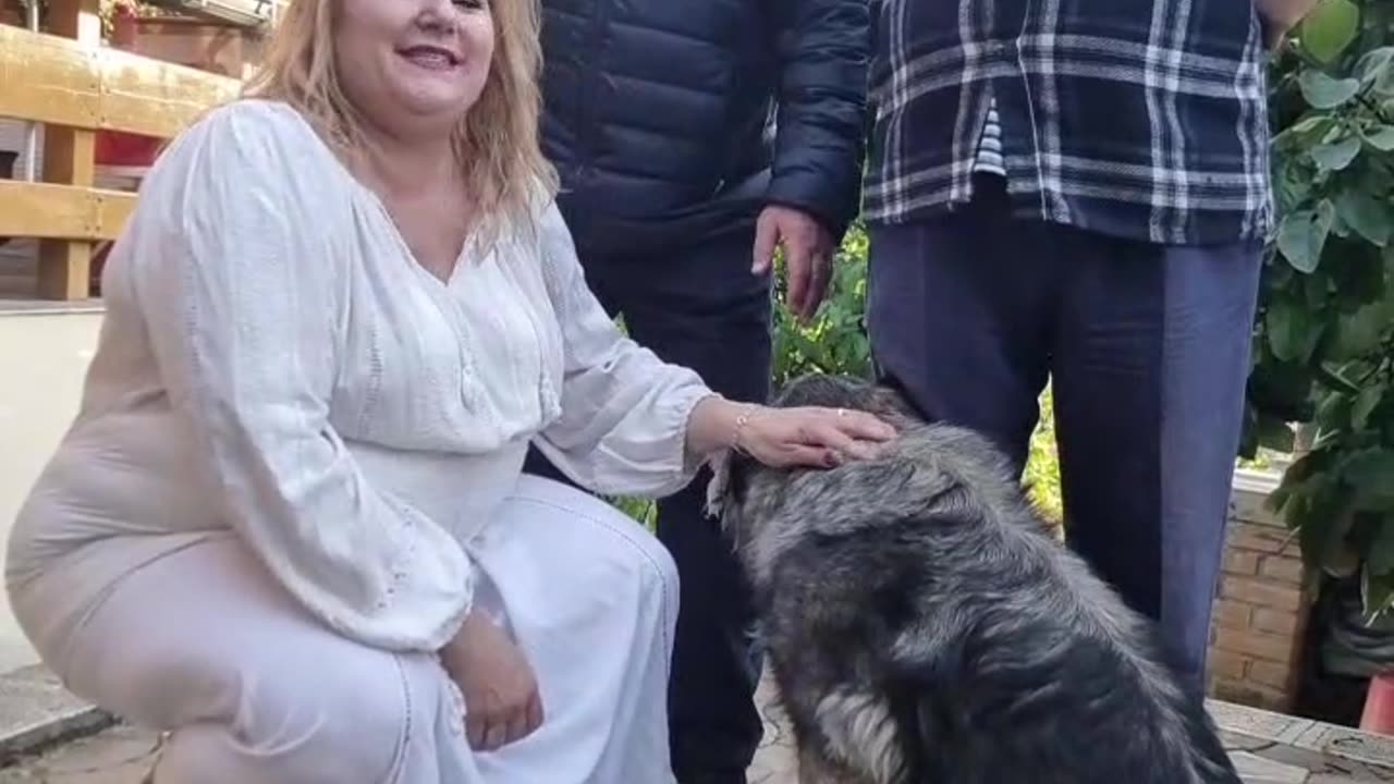 DIS--- - 04 octombrie 2024 - Ziua Internațională a animalelor