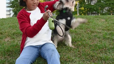 Small child playing with puppy