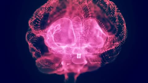 The Political Mind: Who's Packing Big Brains
