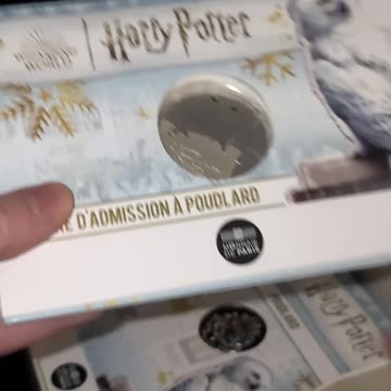 Harry Potter French Coins: Collect Them All! #harrypotter #money #wizardingworld #coincollecting