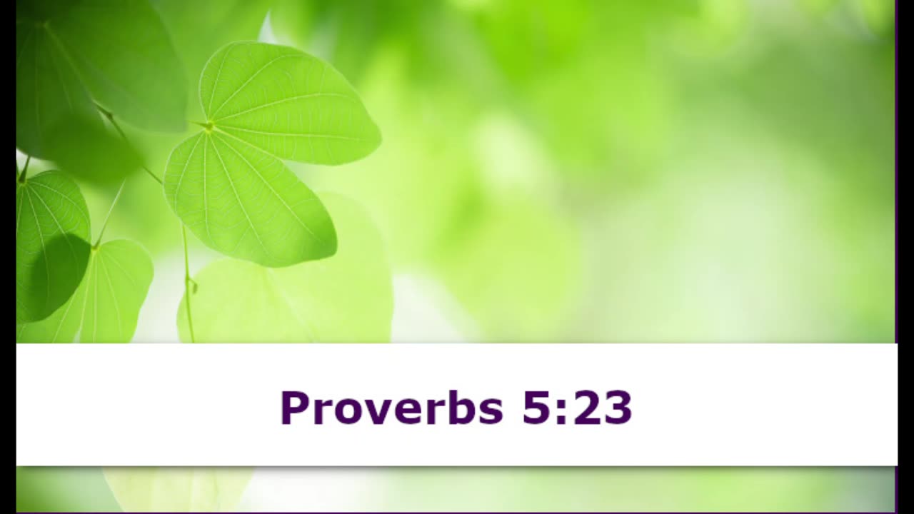 1 Minute -- Proverbs 5 Devotional -- May 5, 2023