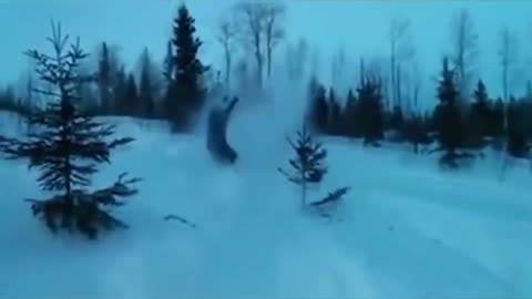 Funny everyday