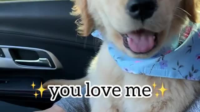 So cute.mp4