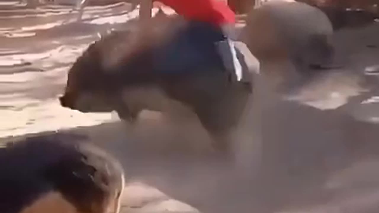 Funny super bike 🤣🤣