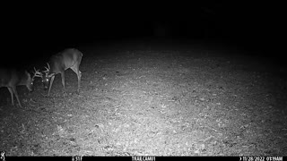 8 pt buck makes it through deer season