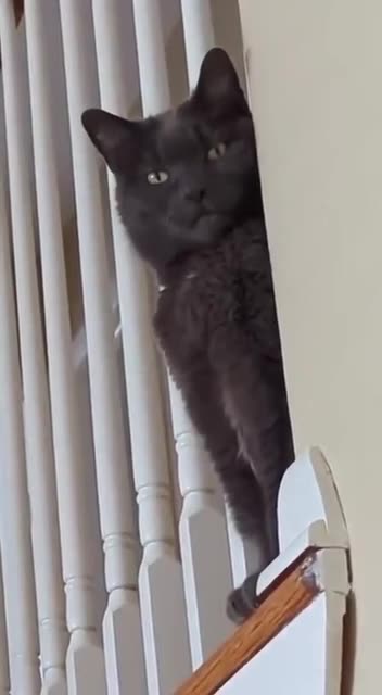 Leave while you still can 🤣😂🤣