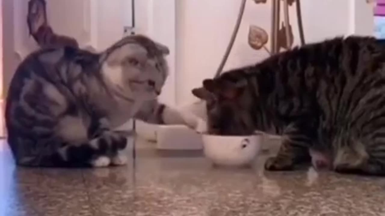 Sharing Can Change The World #shorts #viral #shortsvideo #video