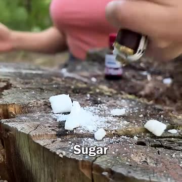 GIRL survives in the forest 🔥#camping #survival #bushcraft #outdoors #fire