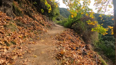 Mount Wilson trail