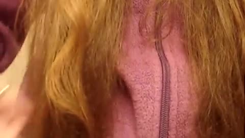 Coconut Oil to Moisturize Ends of Hair