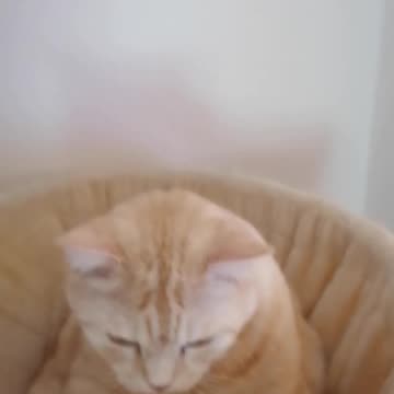 Dimitri Hey Yo mutha*** itz me ;-)Big Luv to Yall