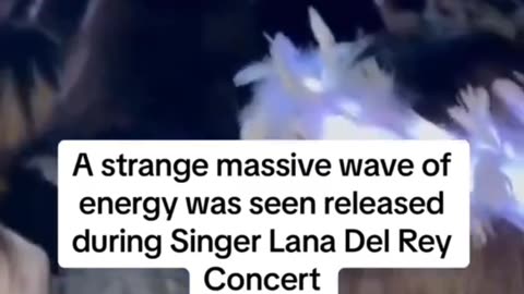 Strange Things happened at Singer Lana Del Rey concert