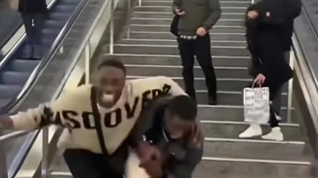 Funny videos