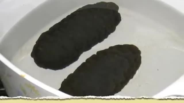 Preparing Dried Sea Cucumber for Cooking_Cut