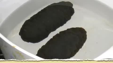 Preparing Dried Sea Cucumber for Cooking_Cut