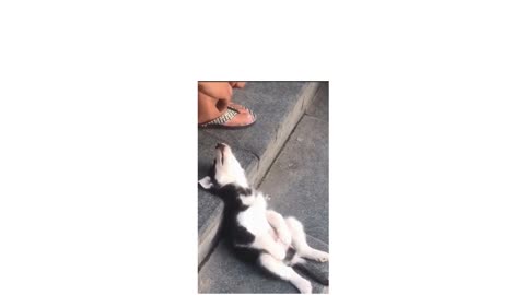so cute