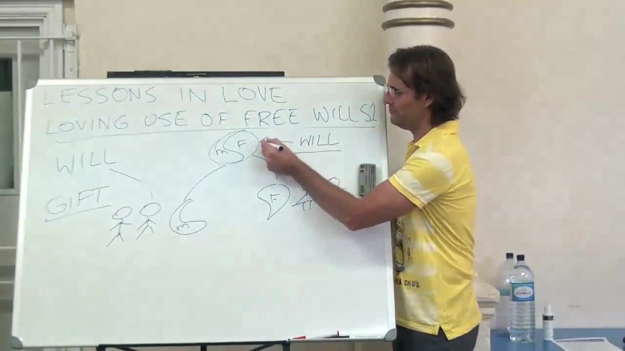 Technicality of Soul and Free Will, Incarnation, Soulmates