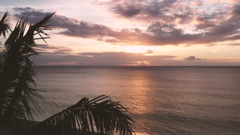 The beach appears to be live and joyful with the presence of the natural vegetation