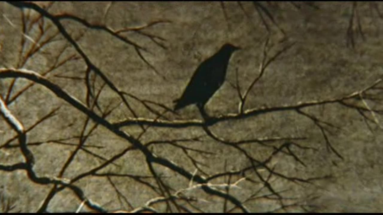 Andrej Tarkovskij - Solaris (1972)