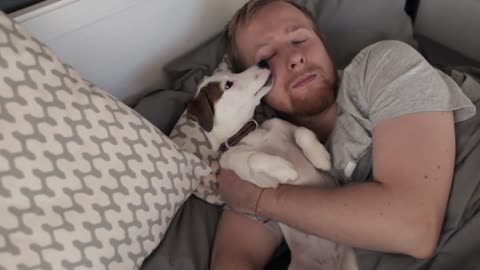 man sleeps with puppy jack Russell in bed