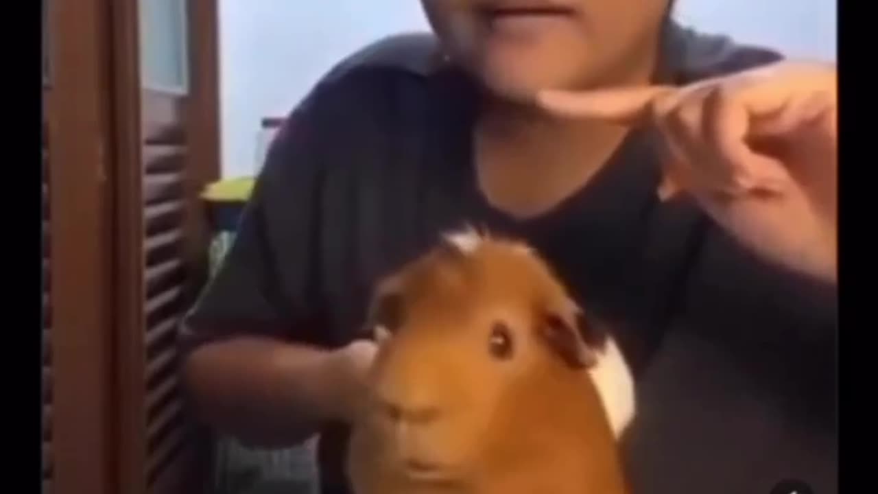 they're same thoðŸ˜