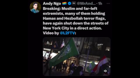 Hamas & Hezbollah Flags Flying In New York as Protesters March Shutting Down Streets