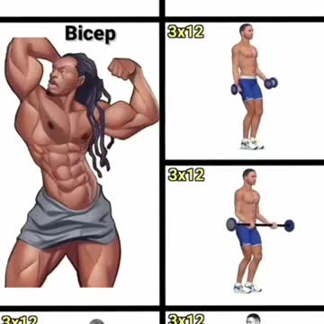 Biceps Workout Exercises