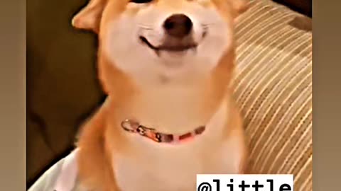 Sound on 🔊