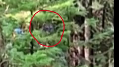 RMSO Bigfoot video capture