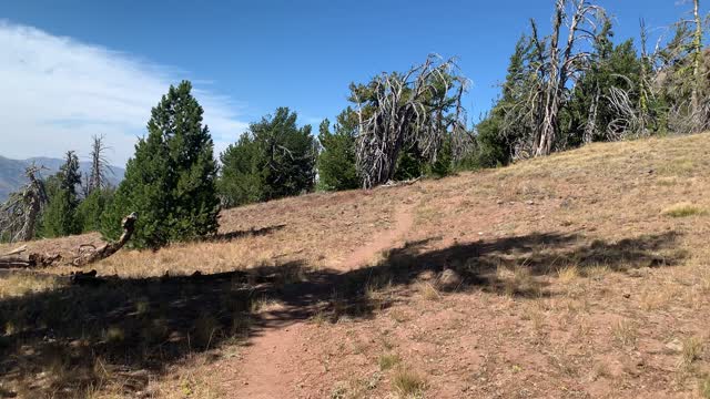 Eastern Oregon – Strawberry Lake + Wilderness – Expansive Overlook – 4K