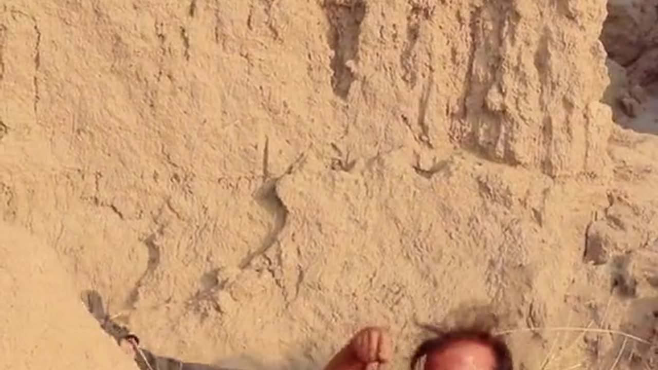 funny video #funny