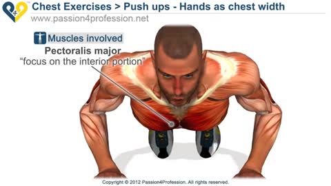 How to do push ups best push ups exercise