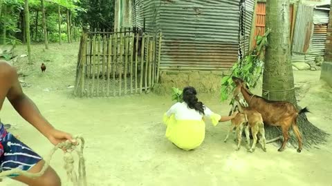 Humorous Video