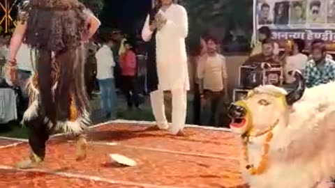 Mahadev Video