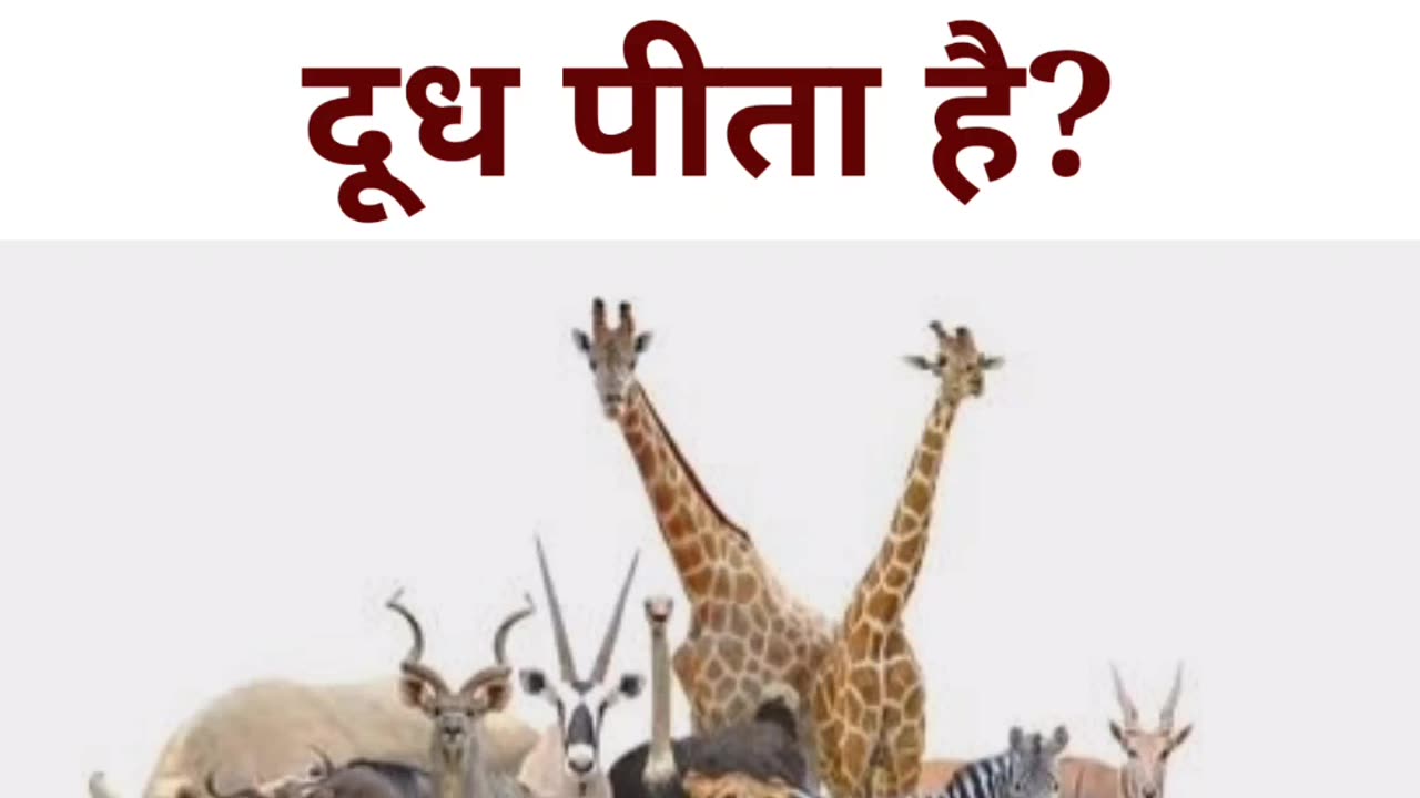 Gk short video|Gk short|Gk question in hindi|General Knowledge #shorts #shortsfeed #fact #india