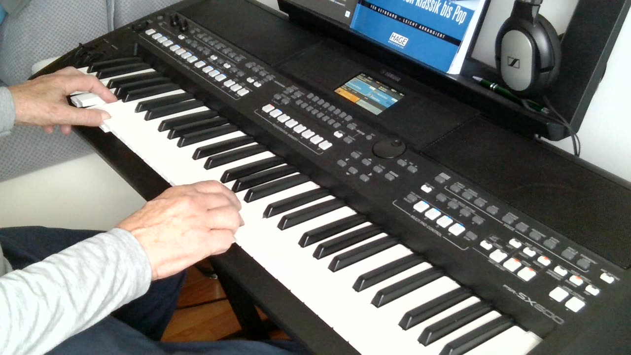 Everybody loves somebody (Dean Martin) cover by Henry, Yamaha PSR SX600