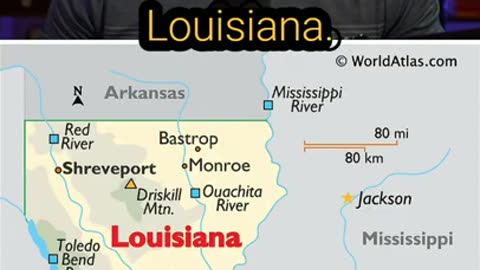 kamala-harris-needs-a-spellchecker-shorts