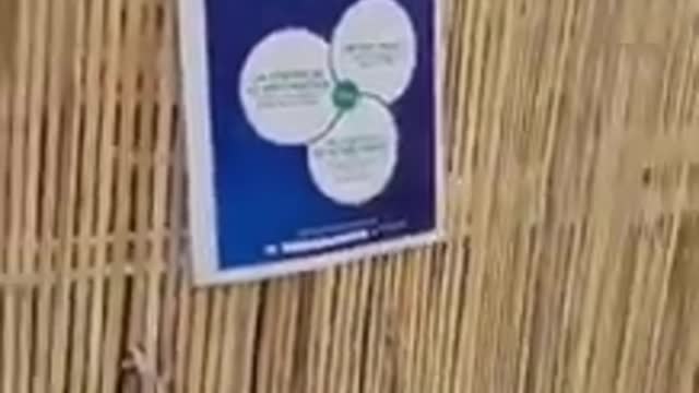 French Health Pass Poster