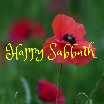 The sabbath was made for man, and not man for the sabbath: